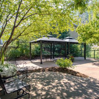 A serene outdoor garden setting featuring a pavilion shaded by lush trees.