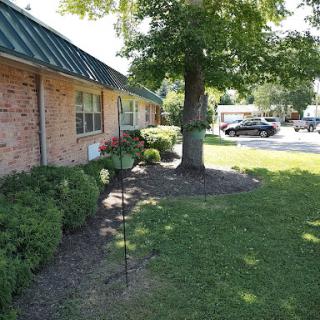 A well-maintained brick building surrounded by lush greenery and a tree, showcasing a serene outdoor environment.