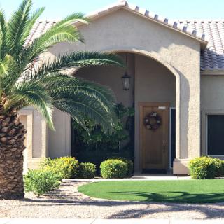 A beautiful home entrance with a palm tree and well-maintained landscaping.