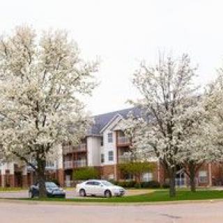 An apartment building surrounded by blooming trees with white flowers in the spring, featuring parked cars nearby.