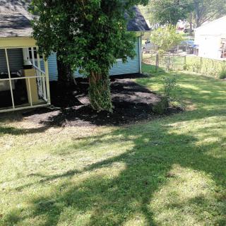 A sunny backyard with a house, tree, and well-maintained lawn.