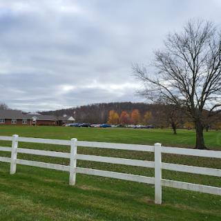 A serene rural landscape featuring a white fence and a tree, set against an autumn backdrop under a cloudy sky.