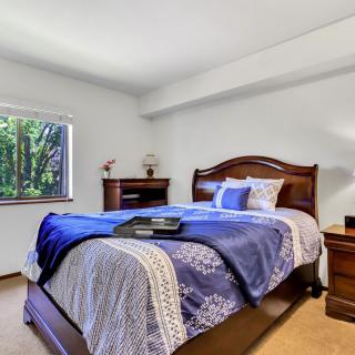 A cozy bedroom with a wooden bed and elegant bedding, featuring a window with a view of trees.