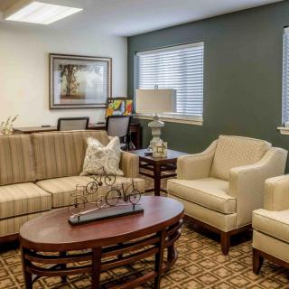 A cozy living room with a sofa, armchairs, and decorative furnishings.