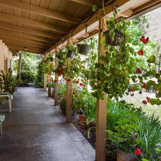 A charming porch with hanging plants and lush greenery.