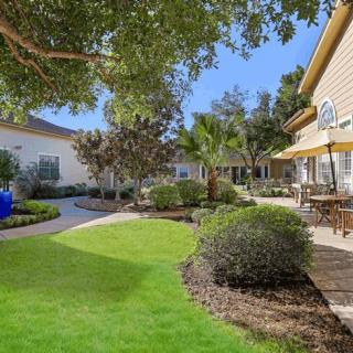 A well-maintained garden with lush greenery and a patio area under a sunny sky.