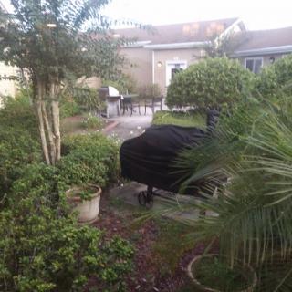 A tranquil backyard scene featuring a grill surrounded by lush greenery.