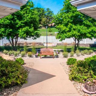 A serene garden with a central bench surrounded by greenery and trees.