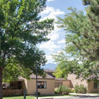 A quiet residential area with houses surrounded by lush trees on a sunny day.