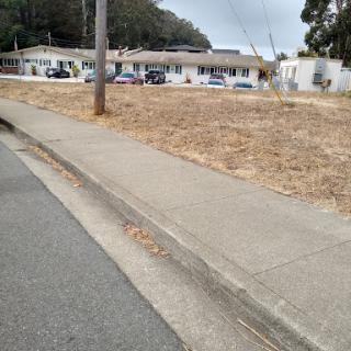 A view of a sidewalk alongside a road with buildings in the background and dry grass near the curb.