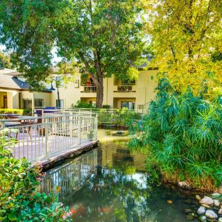 A serene garden setting with a small pond and bridge, surrounded by lush greenery and a building in the background.