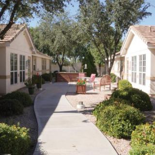 A sunny pathway lined with neatly landscaped greenery and residential houses.
