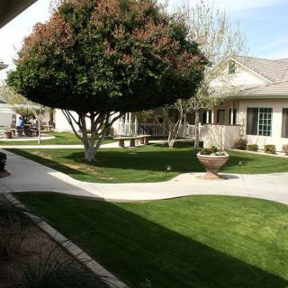 A well-maintained garden with a lush green lawn, a large tree, and a pathway leading to a building.