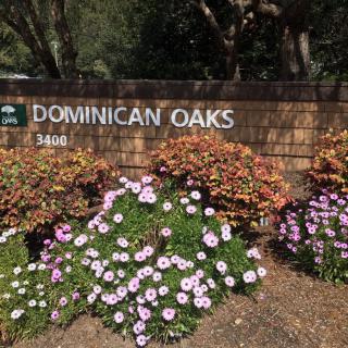 Entrance sign for Dominican Oaks surrounded by flowers and landscaping.