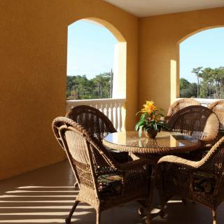 A sunny patio with wicker furniture and a decorative plant.