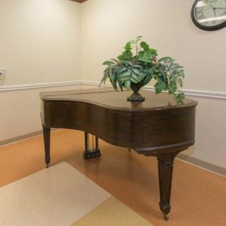 A grand piano with a decorative plant on top, situated in a room corner.