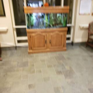 An indoor fish tank with a wooden cabinet, surrounded by tiled flooring.