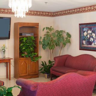 A cozy living room with red sofas, a TV, plants, and a chandelier.
