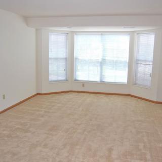 A spacious empty room with carpet flooring and a large window allowing ample natural light.