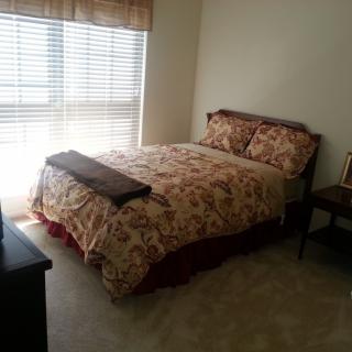 A cozy bedroom with a floral bedspread and abundant natural light.