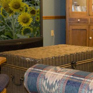 A cozy living room with a television displaying sunflowers, a wicker trunk serving as a coffee table, and a colorful blanket draped over furniture.