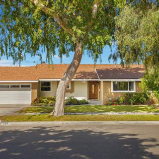 A suburban house with a front yard and large tree.