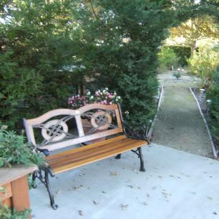 A serene garden setting with a wooden bench beside a gravel pathway surrounded by greenery.