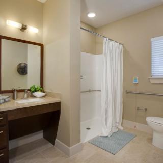 A modern bathroom with a vanity, shower, and toilet.