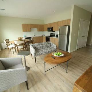 A modern open-floor-plan living room and kitchen with contemporary furniture and appliances.