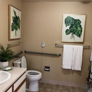 A neatly organized bathroom with botanical artwork on the walls and a small plant by the sink.