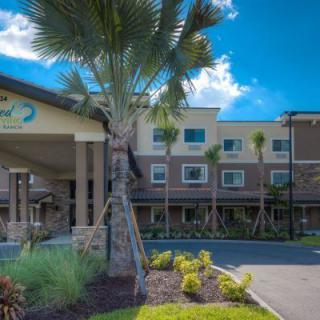 A modern hotel exterior with palm trees and landscaped entrance.