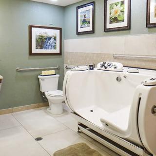 A modern, accessible bathroom featuring a walk-in tub and decorative wall art.