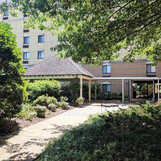 A hotel entrance surrounded by lush greenery.