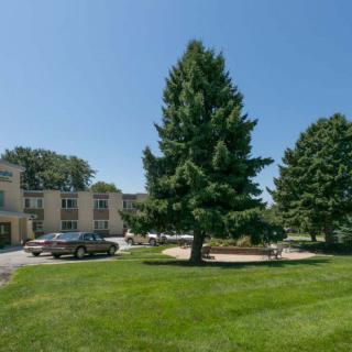 A building with a large tree and car in front, set on a sunny day.