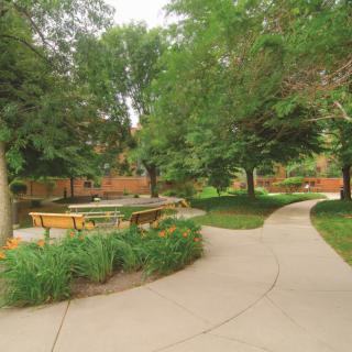 A serene park scene featuring a winding pathway, surrounded by lush greenery and shaded benches.