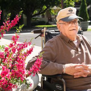 An elderly man sitting in a wheelchair outside, enjoying the sunshine next to vibrant flowers.