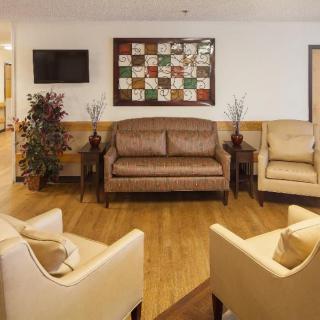 A cozy waiting area featuring a brown sofa and beige chairs arranged in a circle on wood flooring, with decorative plants and a wall-mounted TV.