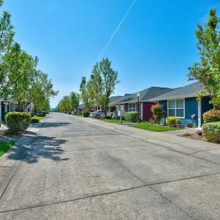 A quiet suburban street lined with houses and trees on a sunny day.