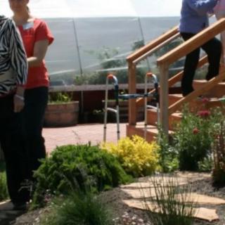 People interacting in a sunny garden area with plants and stairs.