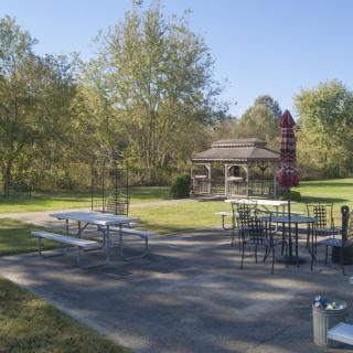 A sunny day in a park featuring a gazebo and picnic tables amidst lush greenery.