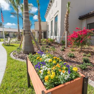 A beautifully landscaped garden featuring vibrant flowers and palm trees outside a modern building on a sunny day.