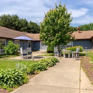 A sunny garden patio with chairs and tables surrounded by greenery.