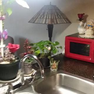 A cozy kitchen corner featuring a red microwave, decorative lamp, and various plants on the countertop.