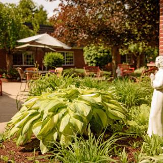 A serene garden area featuring lush plants and outdoor seating, perfect for relaxation.