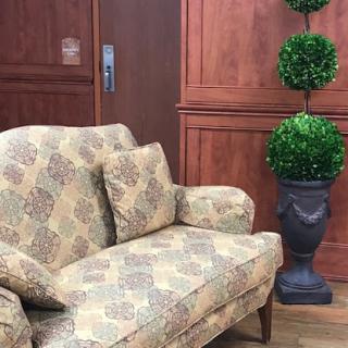 A cozy vintage-style sofa paired with decorative topiary in a warm wooden interior.