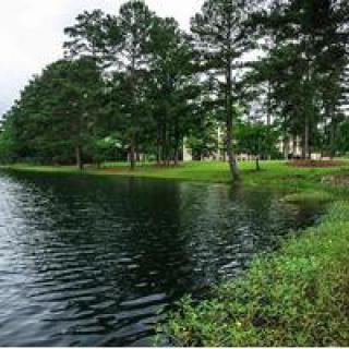 A serene lakeside view with lush trees and calm waters.