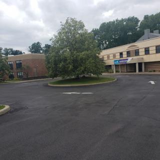 A quiet parking lot surrounded by trees and buildings under a cloudy sky.
