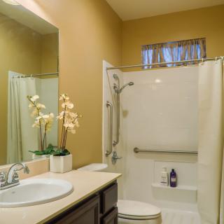 A well-lit bathroom featuring a shower, sink, and decorative orchids.