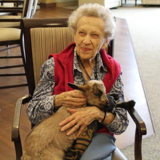 An elderly woman sitting in a chair indoors, smiling while holding and petting a small goat.