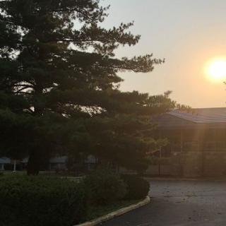 A serene sunset over a driveway surrounded by trees.
